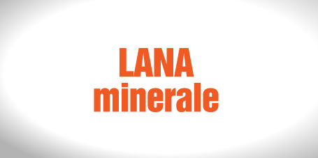 Lana Minerale